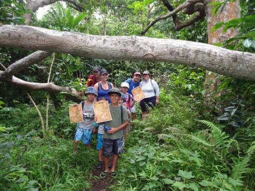 Maui Treasure Hunt 1
